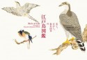 美し、をかし、和名由来の江戸鳥図鑑