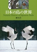 日本の鳥の世界