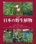 日本の野生植物　ソテツ科〜コミカンソウ科　フィールド版（1）