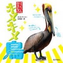 キメキメ　鳥　けったいな生きもの