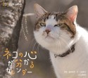 ネコの心が分かるカレンダー　2017