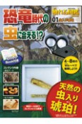 恐竜時代の虫に会える！？　虫入り琥珀　触れる図鑑コレクション1