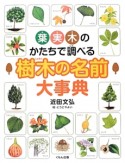 葉・実・木のかたちで調べる樹木の名前大事典