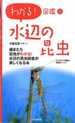 水辺の昆虫　わかる！図鑑8