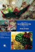 Field　Guide　to　Nudibranchs　（Nudibranchia）　of　Malaysia