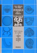 ひとめでわかる化石のみかた