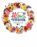 花とグリーンの写真素材集　DVD－ROM付