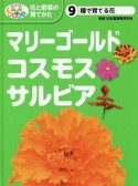 マリーゴールド・コスモス・サルビア　めざせ！栽培名人花と野菜の育てかた9