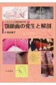 顎顔面の発生と解剖　イヌとネコの臨床歯科学1