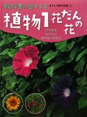 植物　花だんの花　教科書に出てくる　生き物観察図鑑2（1）