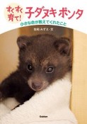 すくすく育て！　子ダヌキ　ポンタ