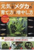 元気なメダカの育て方と増やし方