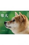 柴犬カレンダー　2018