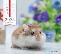 かわいいハムスターカレンダー　2024