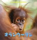 オランウータン　どうぶつの赤ちゃんとおかあさん