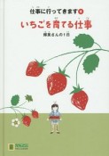 いちごを育てる仕事　仕事に行ってきます4　輝美さんの1日