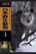 日本野生動物