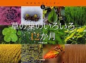 草の葉のいろいろ12か月　生きものカレンダー5