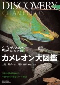 カメレオン大図鑑　分類や種別解説ほか生態・飼育・繁殖について解説