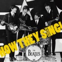 このコーラスワークを聴け！（How　They　Sing！）　HOW　THEY　SING！（a　Beatle　Tracks）