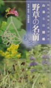 野草の名前　秋冬