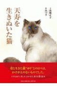 天寿を生きぬいた猫