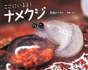 ここにいるよ！ナメクジ