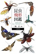 昆虫飛形図鑑　昆虫食の先生、飛んでる虫に魅せられて