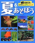 夏をあそぼう　海野和男のみぢかなしぜんのふしぎ！？