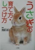 うさぎの育て方・しつけ方