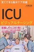 ICUビジュアルナーシング