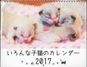 いろんな子猫のカレンダー　2017