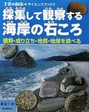 採集して観察する海岸の石ころ