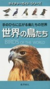 世界の鳥たち