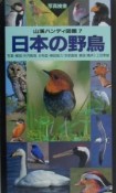 日本の野鳥