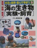 水辺の自然・遊んで学ぼう　海の生き物　実験・飼育（5）