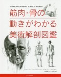 筋肉・骨の動きがわかる美術解剖図鑑