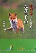 キツネにもらったたからもの