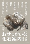 おせっかいな化石案内　見えないものが見えてくる！　古生物の観賞ポイントを解説してみた