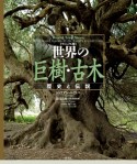 世界の巨樹・古木＜ヴィジュアル版＞