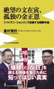 絶望の文在寅、孤独の金正恩