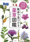 散歩で見つける薬草図鑑　見分け方・使い方がよくわかる