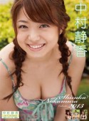 中村静香　カレンダー　2013