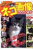 GO！GO！ネコ画像　1000CAT