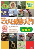 DVD＞こびと観察入門傑作選　モモ　ハナ　シボリ　ケダマ編