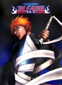 BLEACH