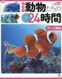 密着！動物たちの24時間　サンゴ礁編