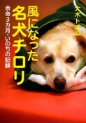 風になった名犬チロリ