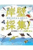 岸壁採集！　漁港で出会える幼魚たち　「ときめき×サイエンス」シリーズ4