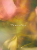 timelesz（Limited　Edition）(DVD付)